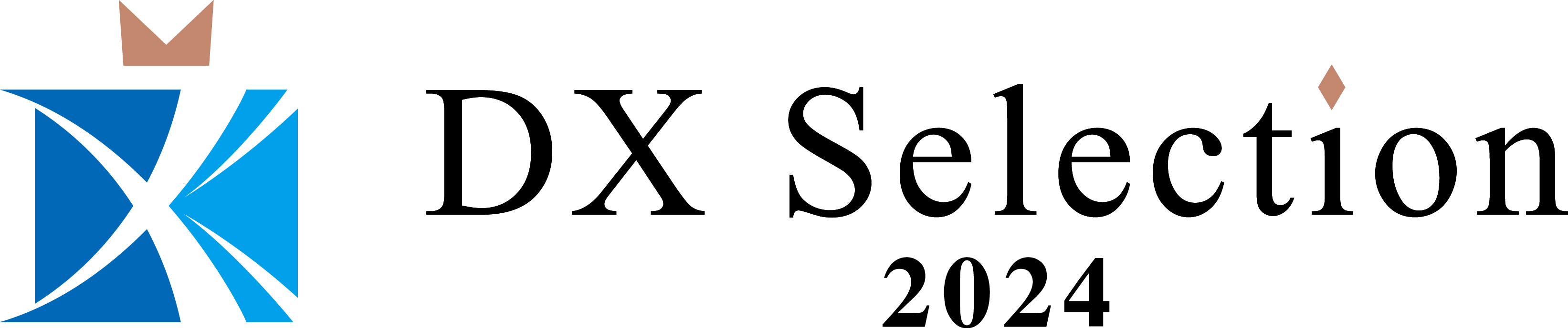 DXセレクション2024 ロゴ